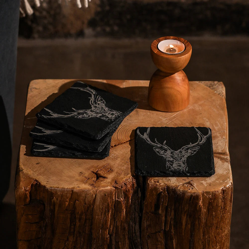Slate Coasters Set of 4