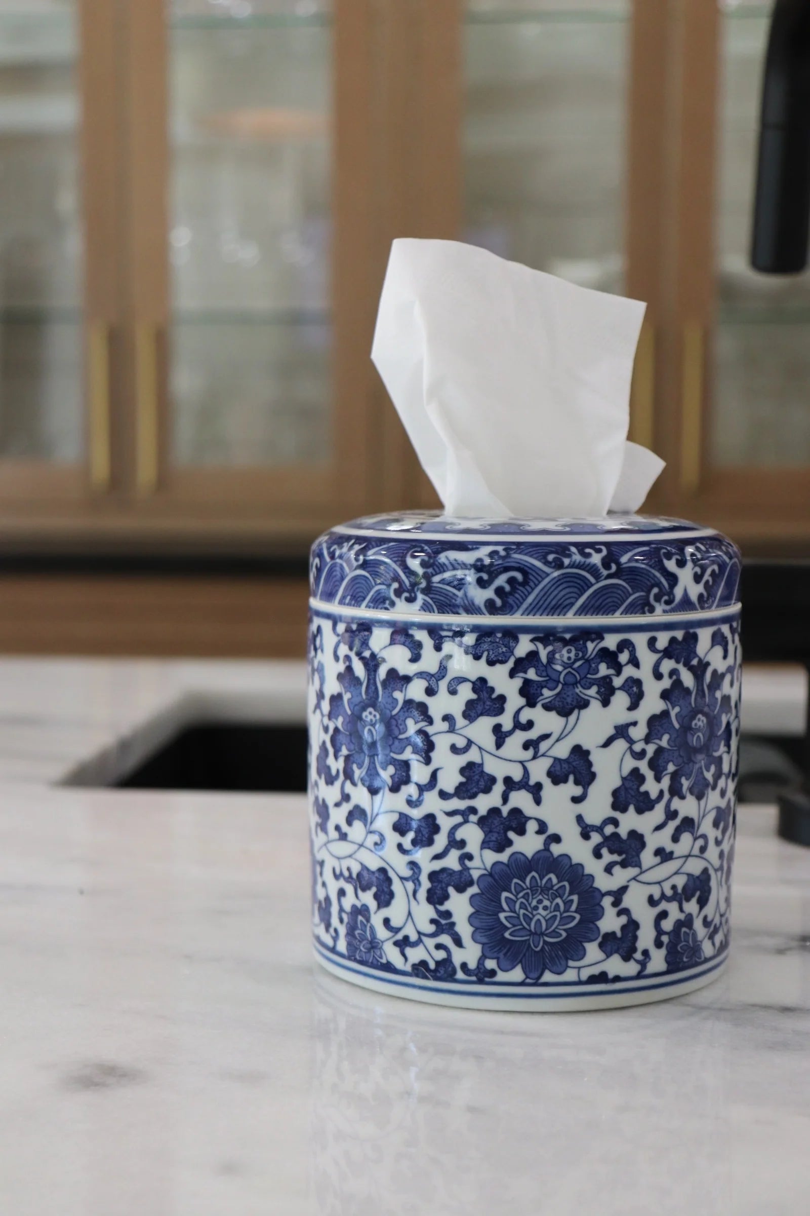 Tissue Holder