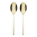 Allay 2-Piece Serving Spoons